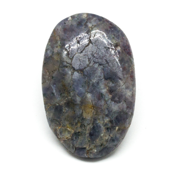 Iolite Palm Stone (Medium)-0