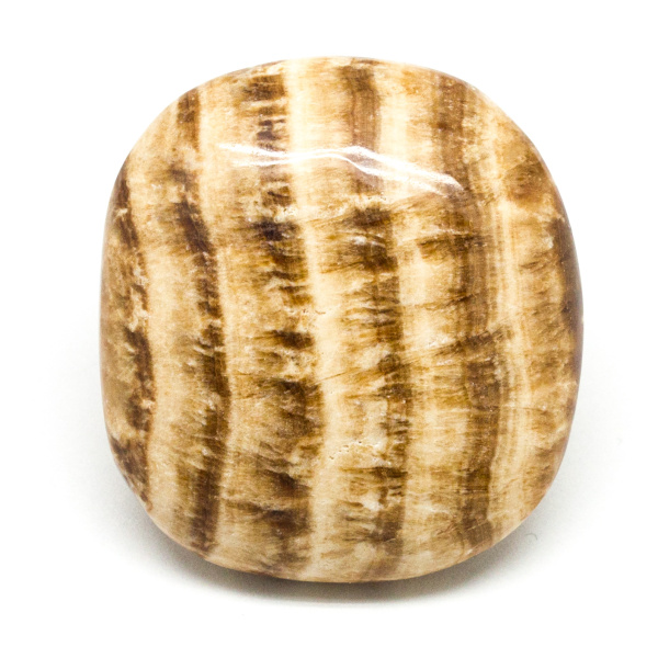 Aragonite Palm Stone (Small)-0