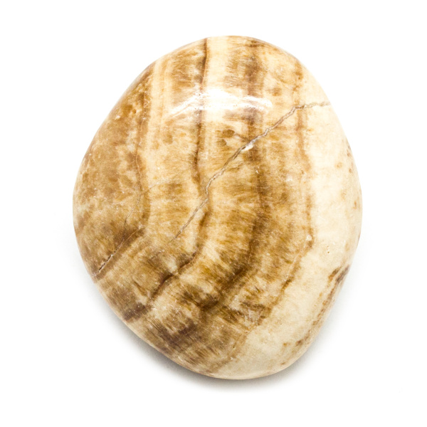 Aragonite Palm Stone (Small)-188564