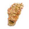 Crocoite Cluster-176889