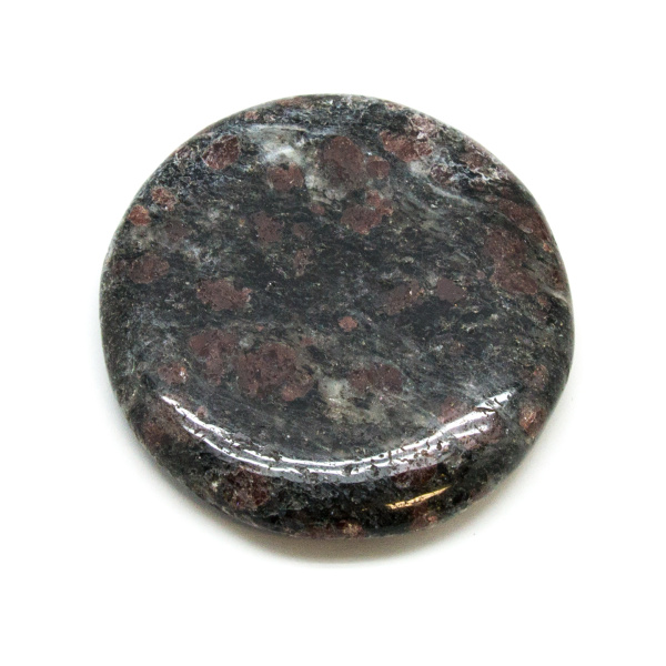 Garnet in Biotite Palm Stone (Large)-187770