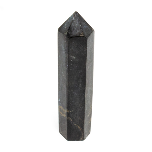 Stromatolite Point-185751