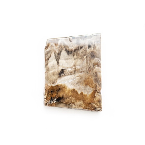 Polished Petrified Wood Slab-203778