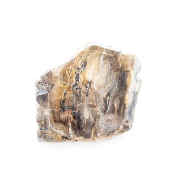 Polished Petrified Wood Slab-203777