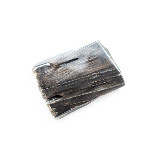 Polished Petrified Wood Slab-203781