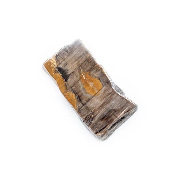 Polished Petrified Wood Slab-203782