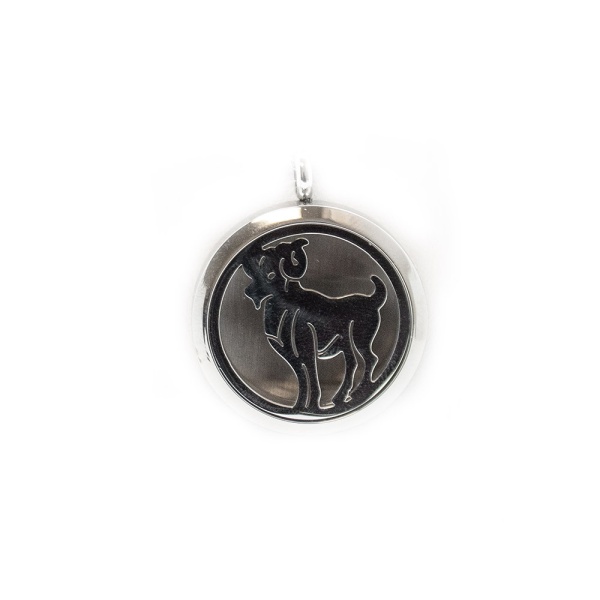 Aries Zodiac Aromatherapy Pendant-0