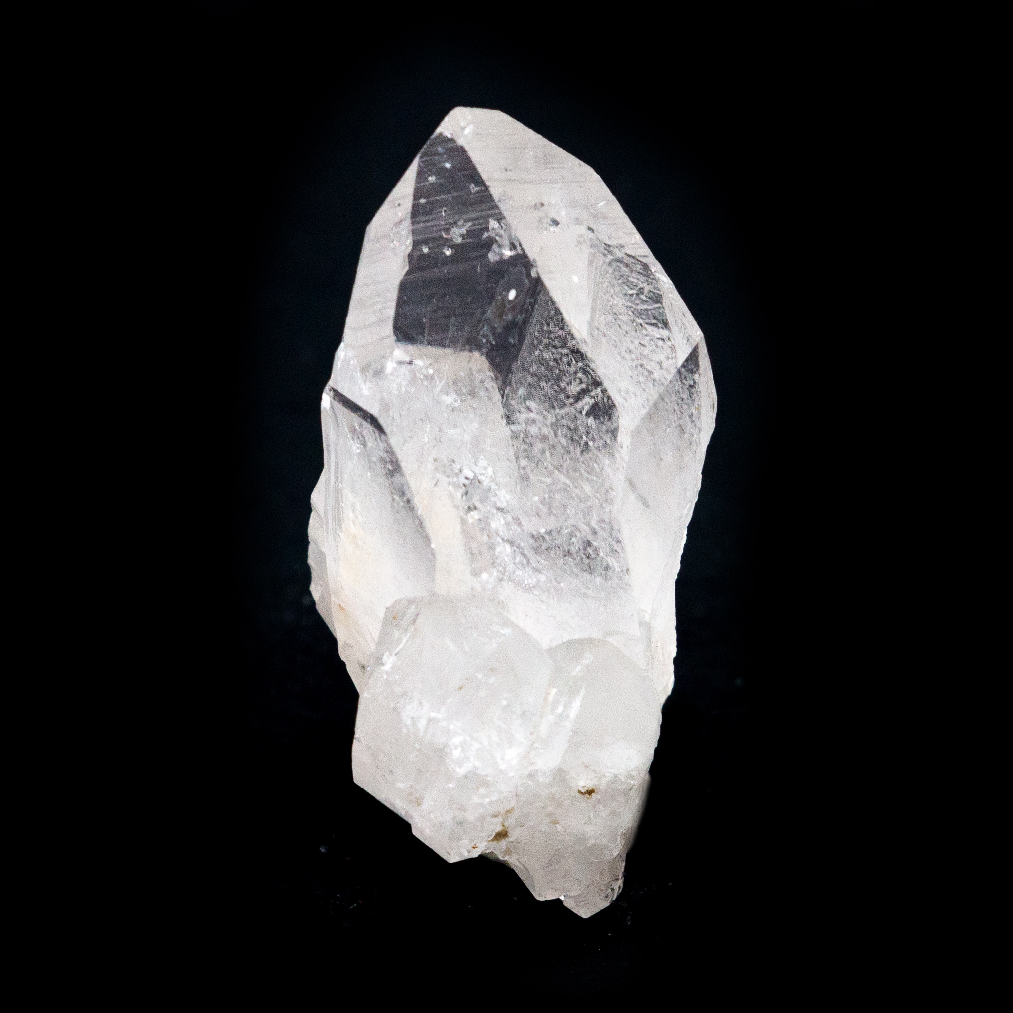 Clear Quartz Record Keeper Crystal Crystal Vaults