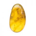 amber healing uses crystal encyclopedia