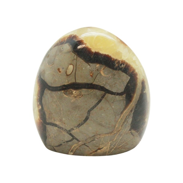 Septarian Free Form (Medium)-218033