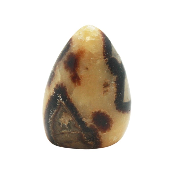 Septarian Free Form (Small)-218036