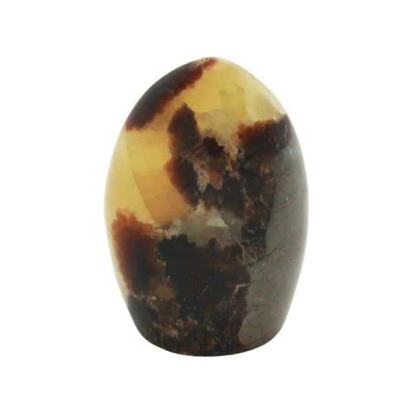 Septarian Free Form (Small)-218037