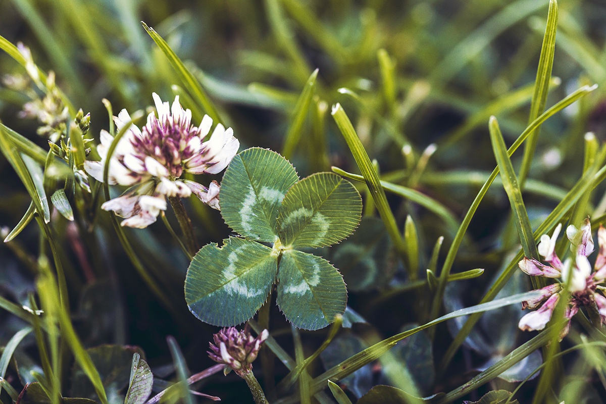 dustin-humes-9CWwJYvNJ4k-unsplash crystals for good fortune
