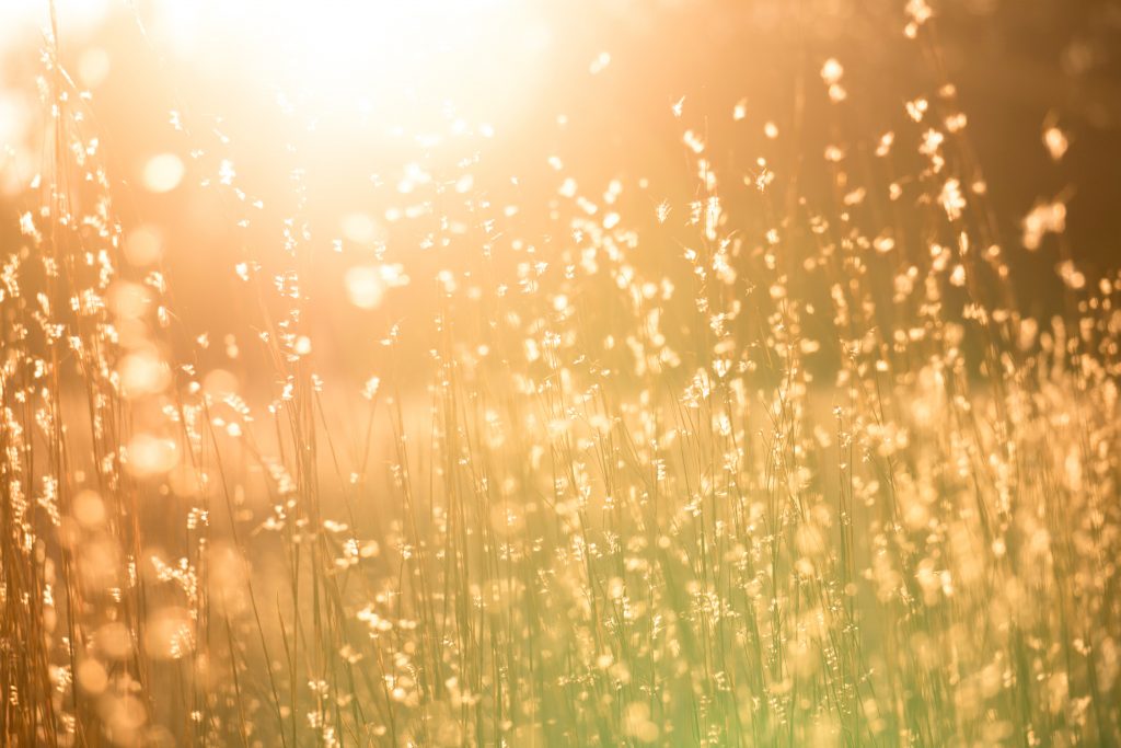 kent-pilcher-87MIF4vqHWg-unsplash Photo by Kent Pilcher on Unsplash