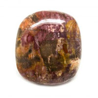 petrifiedwood