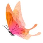 butterfly spring butterfly spring