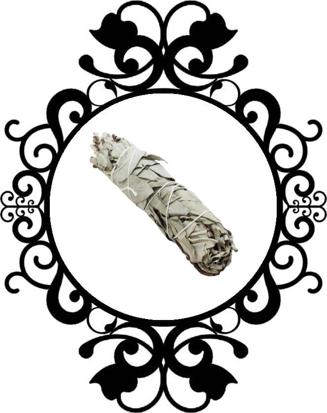 White Sage Smuge Stick