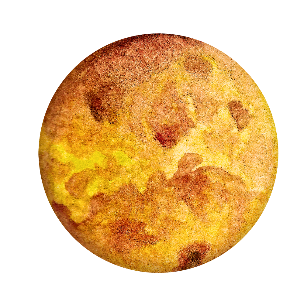 venus venus