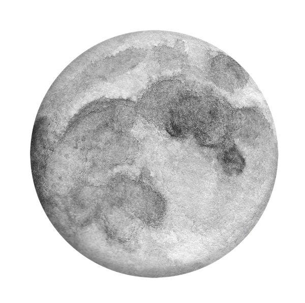 moon moon