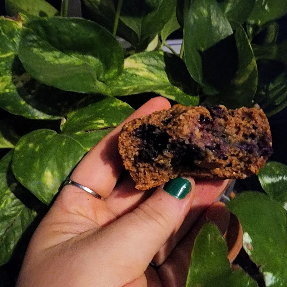 baking with crystals blueberry orange bran muffins