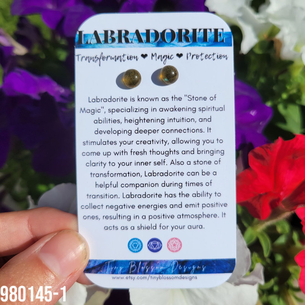 Labradorite 14k Plated Gold Stud Earrings