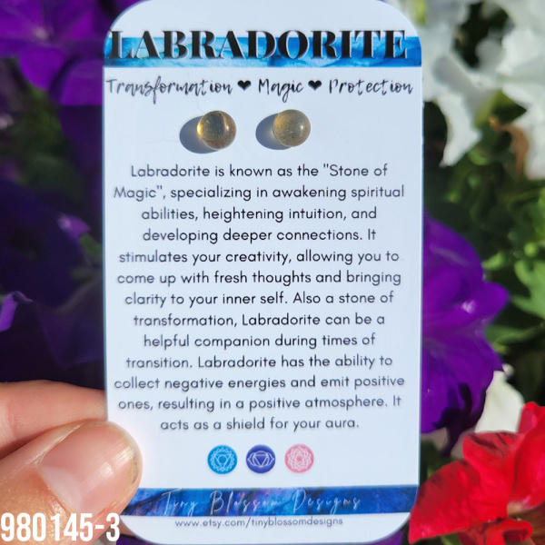 Labradorite 14k Plated Gold Stud Earrings - Image 4