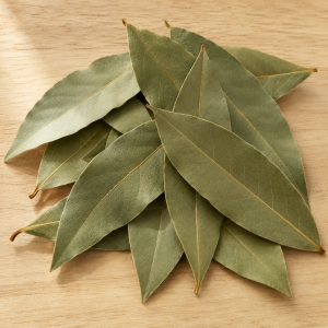 Celestial Aligned Bay Leaf