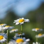 maksim-askarov-uUzY_xVZ0lA-unsplash maksim-askarov-uUzY_xVZ0lA-unsplash