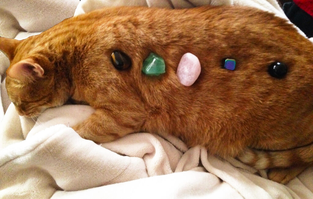 orange-cat-crystals best crystals for cats orange cat with crystals on it