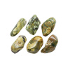 Rainforest Rhyolite Tumbled Set (Large)