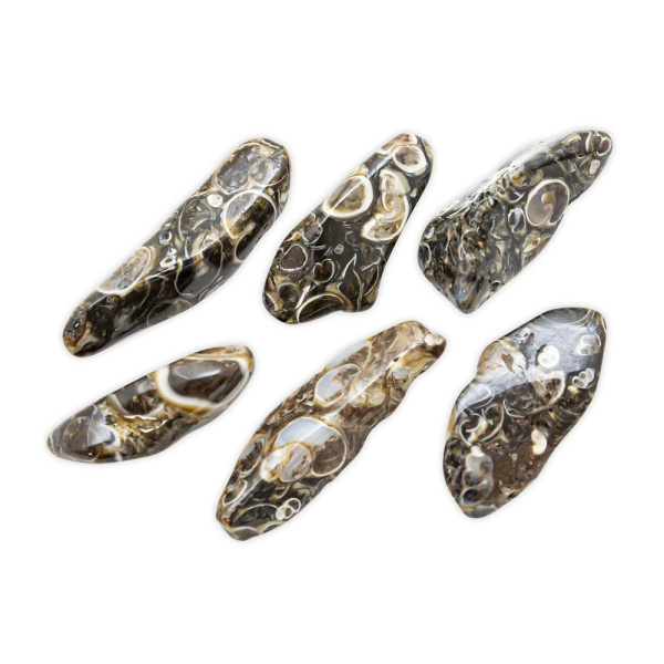 Turritella Agate Tumbled Set (L) - Image 3
