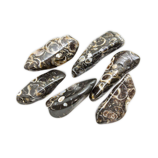 Turritella Agate Tumbled Set (L) - Image 2
