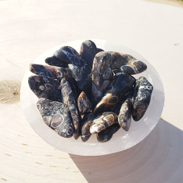 Turritella Agate Tumbled Set (L) - Image 4