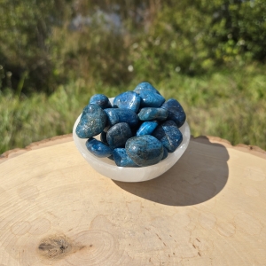 Blue Apatite Tumbled Pair (L)