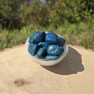 Blue Apatite Tumbled Pair (Extra Large)