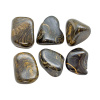 Stromatolite Tumbled Set (L) - Image 3