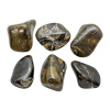 Stromatolite Tumbled Set (L) - Image 2