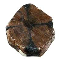 Chiastolite