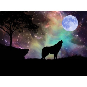 crystals for the wolf moon