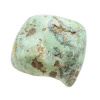 Polished Chrysoprase Freeform - Image 3