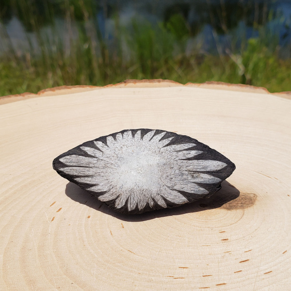 Chrysanthemum Stone