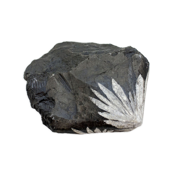 Chrysanthemum Stone - Image 2