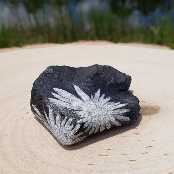 Chrysanthemum Stone