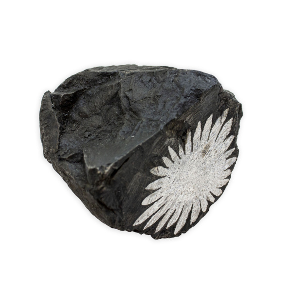 Chrysanthemum Stone - Image 3