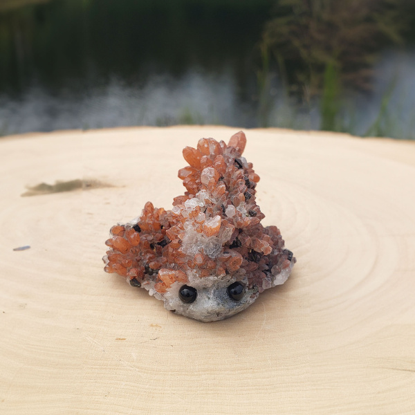 Aragonite Crystal Pet
