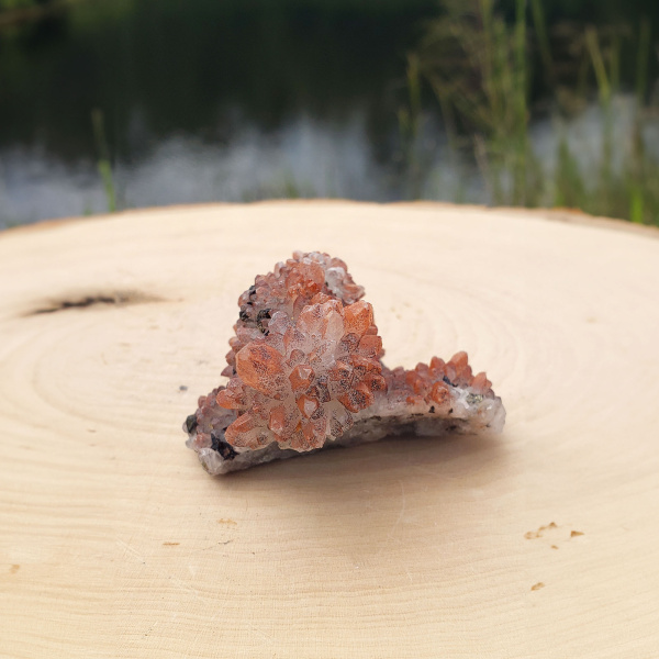 Aragonite Crystal Pet - Image 2