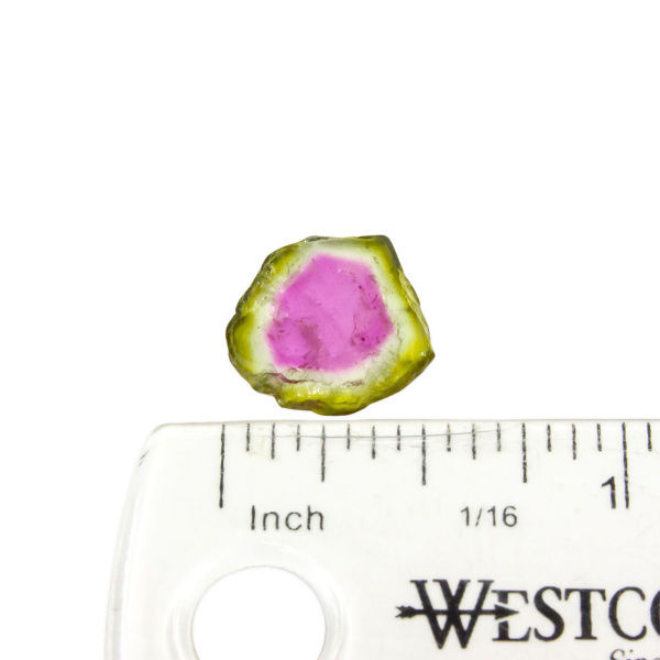 Watermelon Tourmaline Slice - Image 2