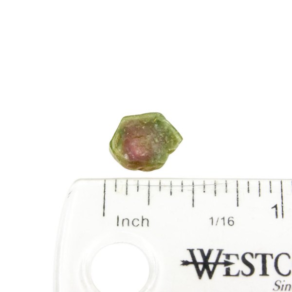 Watermelon Tourmaline Slice - Image 2