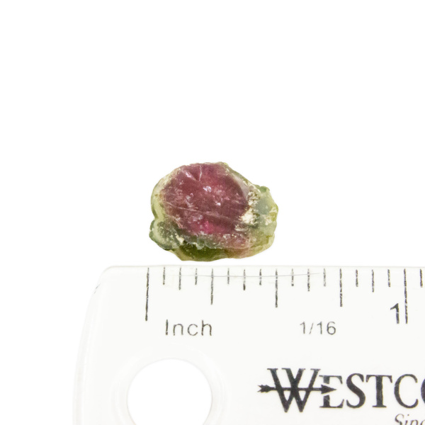 Watermelon Tourmaline Slice - Image 2