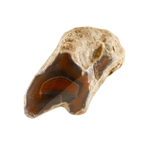 Polished Red Sashe River Agate Nodule